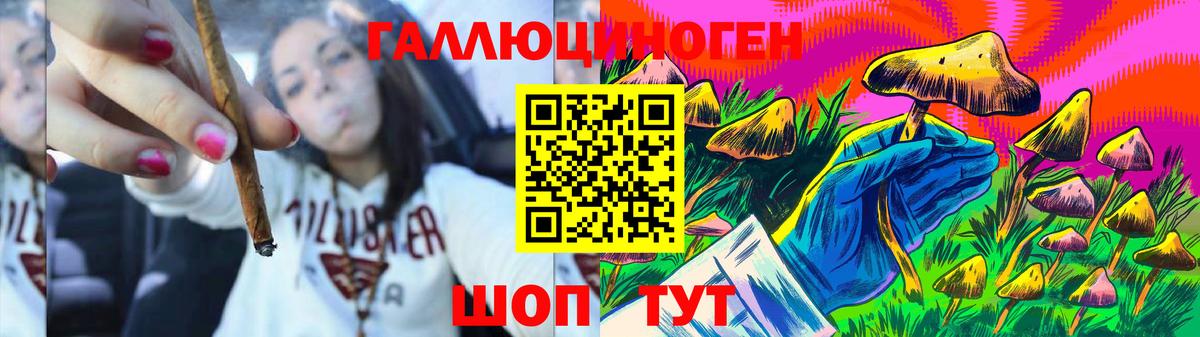 Галлюциногенные грибы Magic Shrooms  Вход с VPN  Тосно  как найти   Галлюциногенные грибы Psilocybine cubensis 