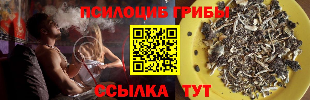 Галлюциногенные грибы мицелий Тосно